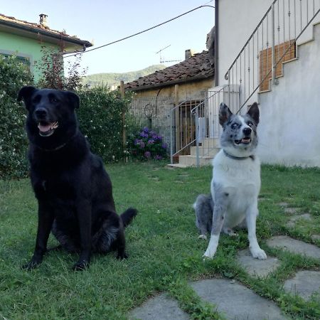 B & B Via Di Mezzo Coreglia Antelminelli Εξωτερικό φωτογραφία