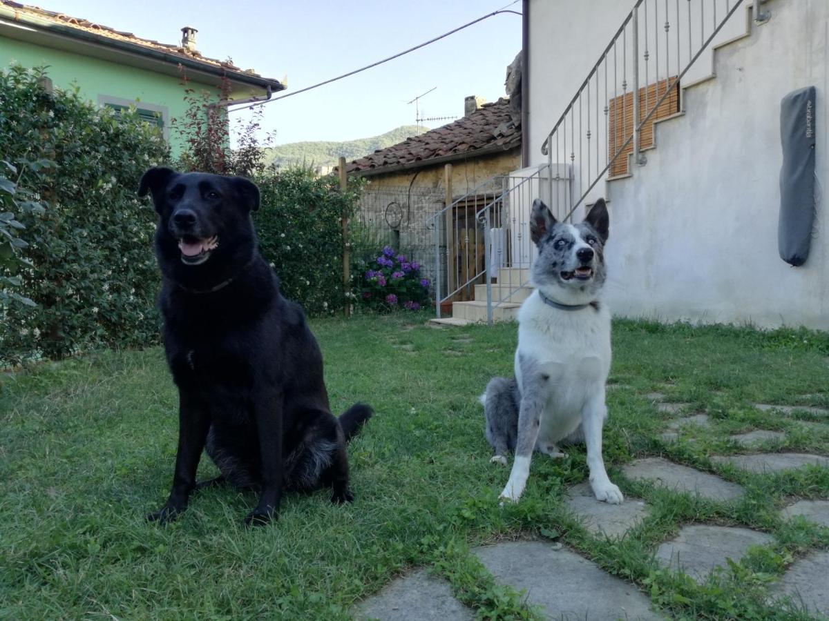 B & B Via Di Mezzo Coreglia Antelminelli Εξωτερικό φωτογραφία
